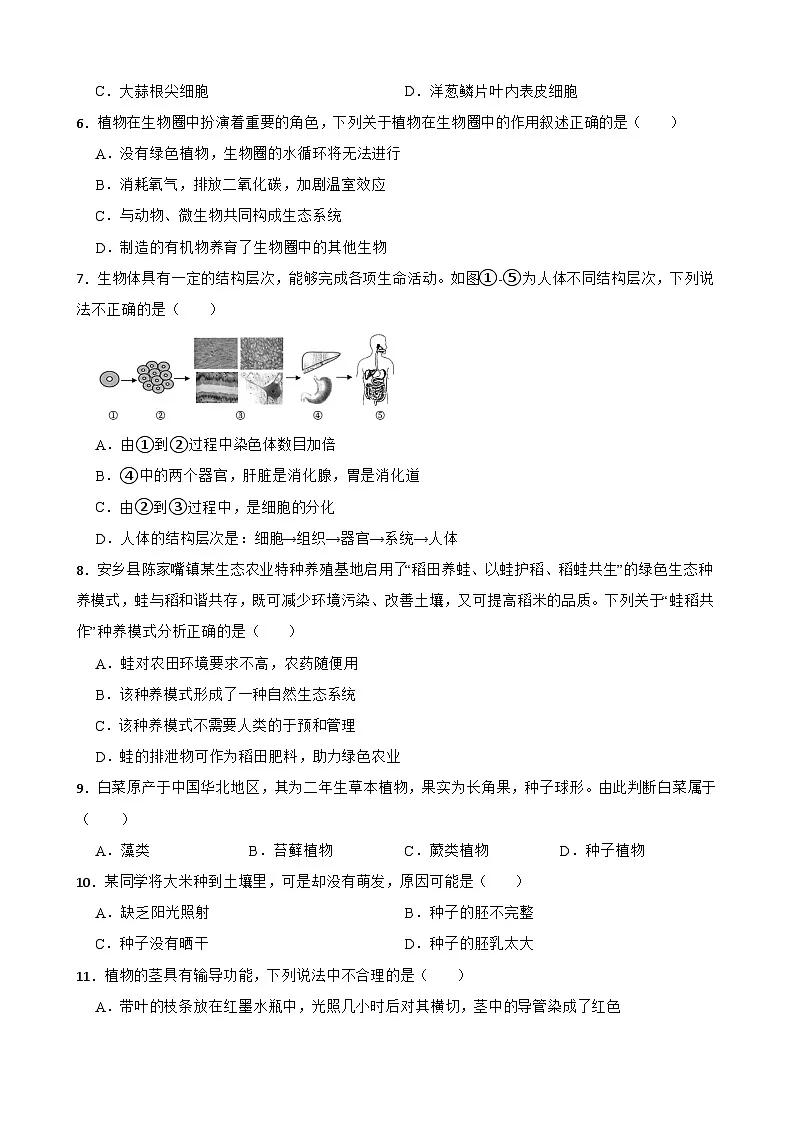 湖南长沙市长郡双语实验中学2024-2025学年七年级下学期生物5月月考测试题（含答案解析）第2页