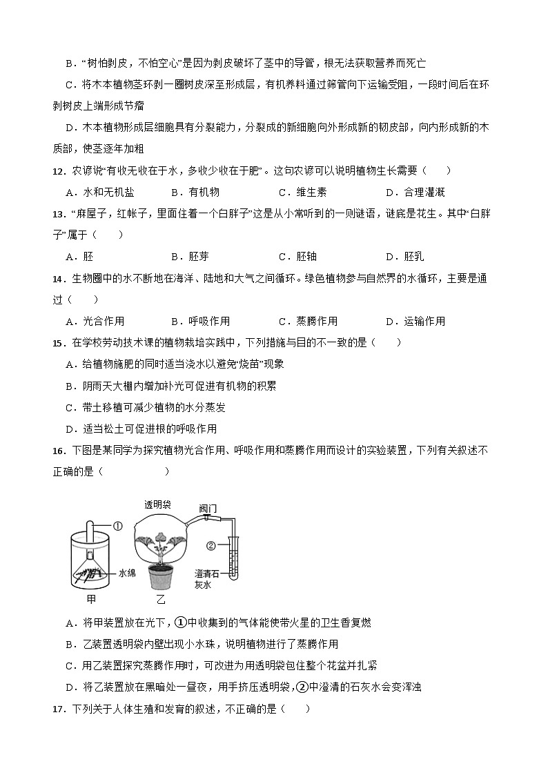 湖南长沙市长郡双语实验中学2024-2025学年七年级下学期生物5月月考测试题（含答案解析）第3页
