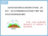 北師大版生物（2024）七年級上冊 1.1.1 形形色色的生物  課件