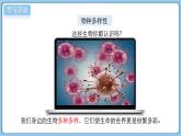 北師大版生物（2024）七年級上冊 1.1.1 形形色色的生物  課件