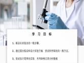 北師大版生物（2024）七年級(jí)上冊(cè) 1.1.3 生物學(xué)研究的基本方法 課件