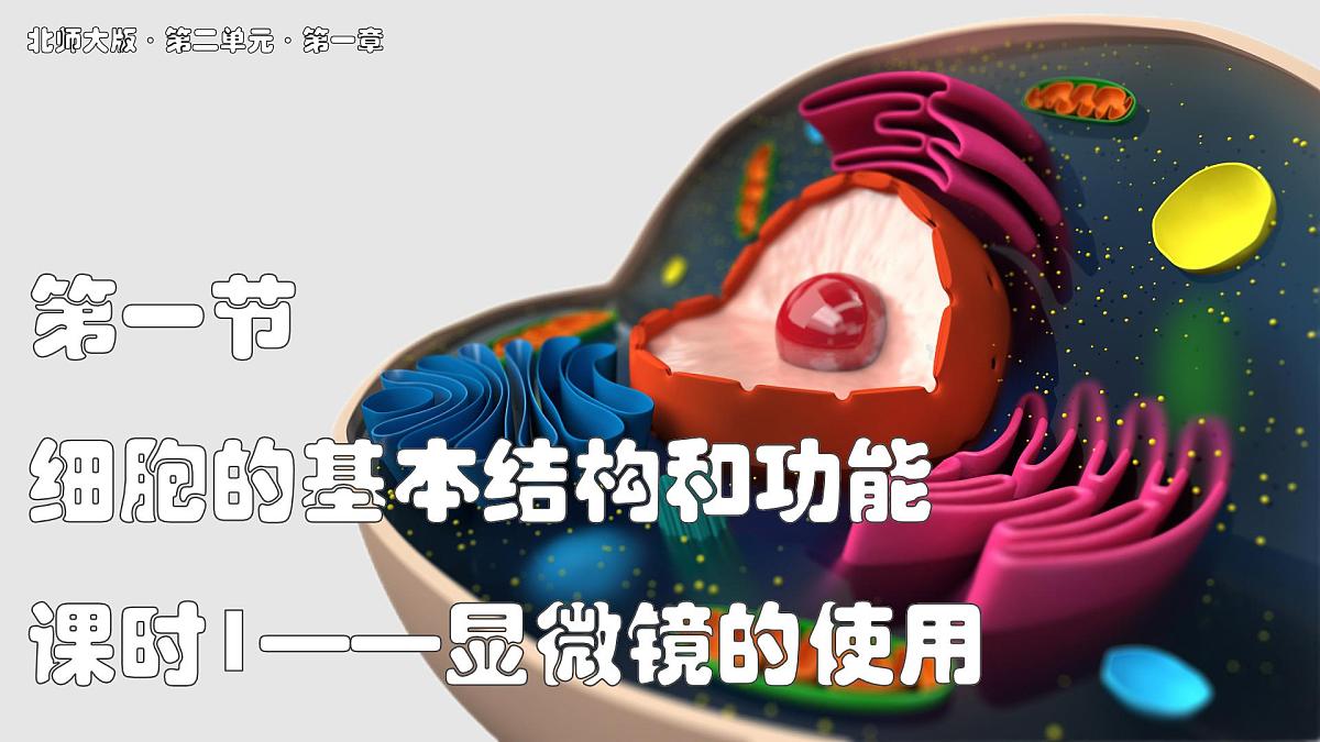北师大版生物（2024）七年级上册 2.2.1 细胞的基本结构和功能 课时1 课件第1页