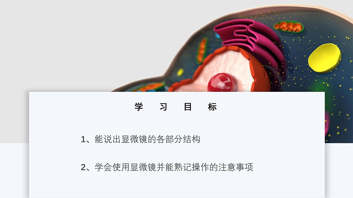 北师大版生物（2024）七年级上册 2.2.1 细胞的基本结构和功能 课时1 课件第2页
