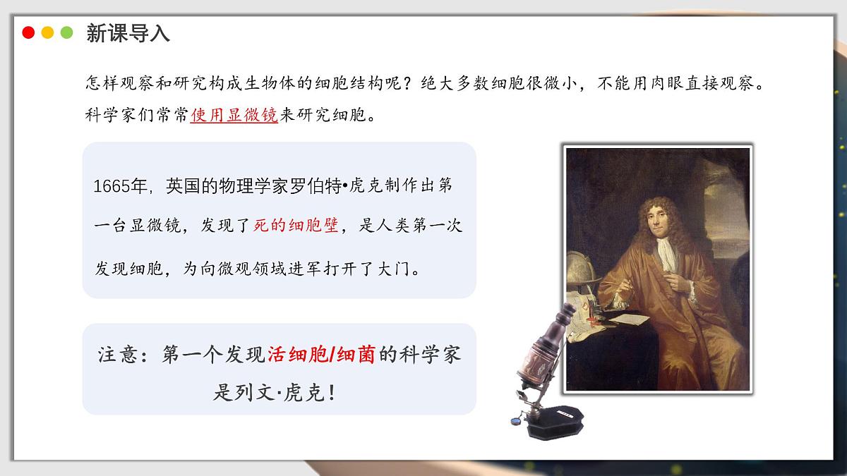 北师大版生物（2024）七年级上册 2.2.1 细胞的基本结构和功能 课时1 课件第4页