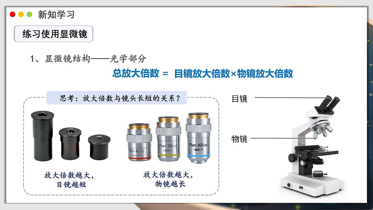 北师大版生物（2024）七年级上册 2.2.1 细胞的基本结构和功能 课时1 课件第6页