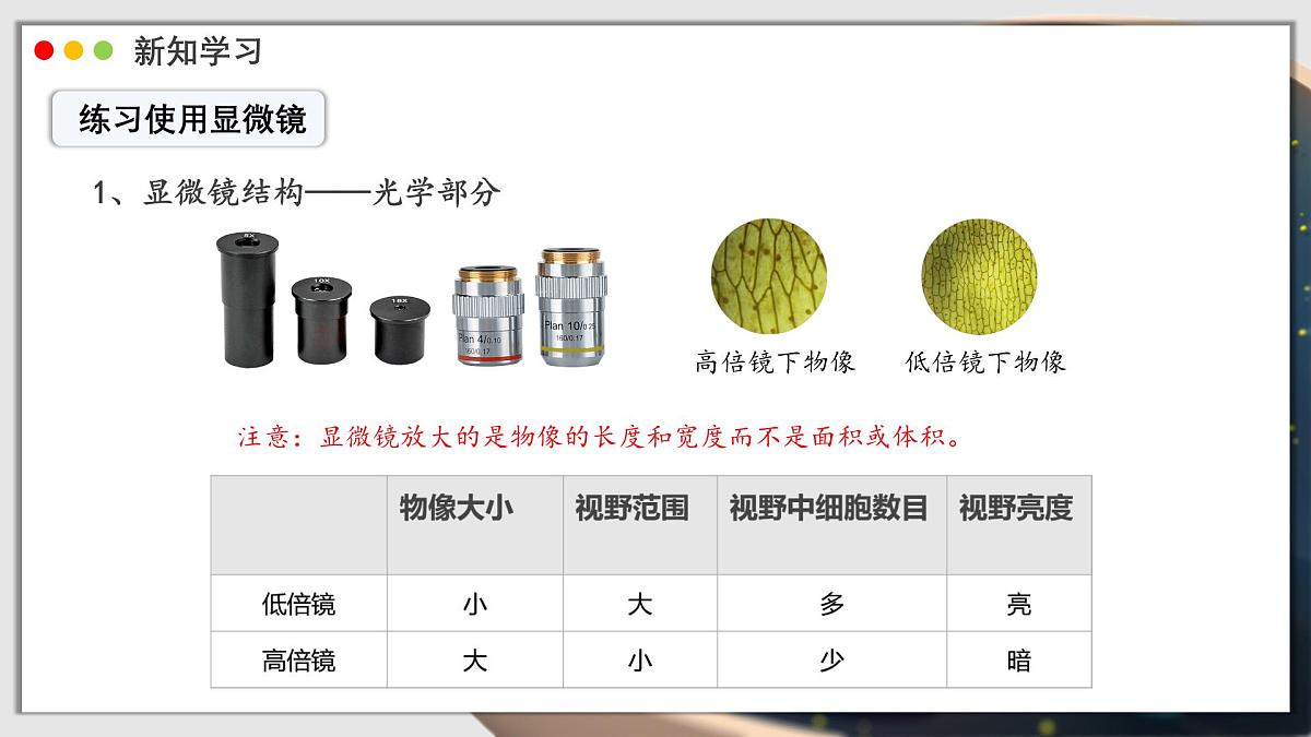 北师大版生物（2024）七年级上册 2.2.1 细胞的基本结构和功能 课时1 课件第7页
