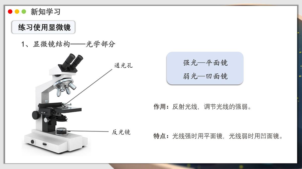 北师大版生物（2024）七年级上册 2.2.1 细胞的基本结构和功能 课时1 课件第8页