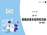 北師大版生物（2024）七年級上冊 2.2.1 細胞的基本結(jié)構(gòu)和功能（第1課時） 課件