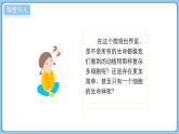 北師大版生物（2024）七年級上冊 2.2.1 細胞的基本結(jié)構(gòu)和功能（第1課時） 課件