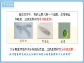 北師大版生物（2024）七年級上冊 2.2.1 細胞的基本結(jié)構(gòu)和功能（第1課時） 課件