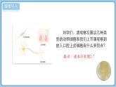 北師大版生物（2024）七年級上冊 2.2.1細胞的基本結(jié)構(gòu)和功能（第2課時） 課件