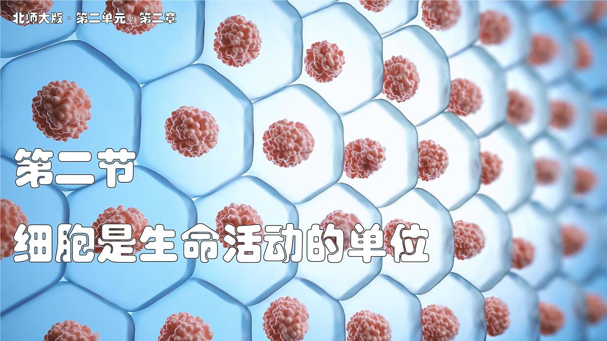 北师大版生物（2024）七年级上册 2.2.2 细胞是生命活动的单位  课件第1页