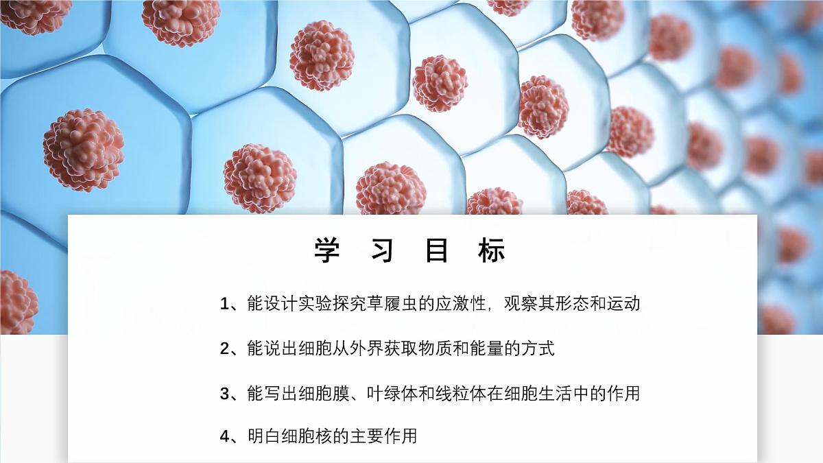 北师大版生物（2024）七年级上册 2.2.2 细胞是生命活动的单位  课件第2页