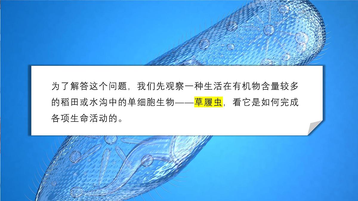 北师大版生物（2024）七年级上册 2.2.2 细胞是生命活动的单位  课件第4页