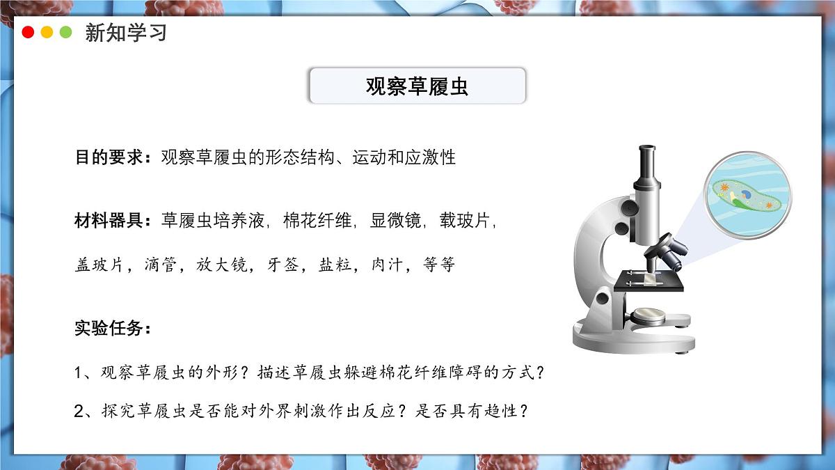 北师大版生物（2024）七年级上册 2.2.2 细胞是生命活动的单位  课件第5页