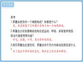 北師大版生物（2024）七年級(jí)上冊(cè) 2.2.2 細(xì)胞是生命活動(dòng)的單位 課件