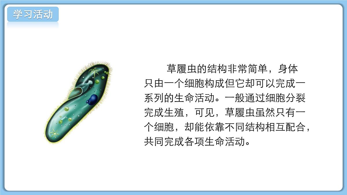 北师大版生物（2024）七年级上册 2.2.2 细胞是生命活动的单位 课件第6页