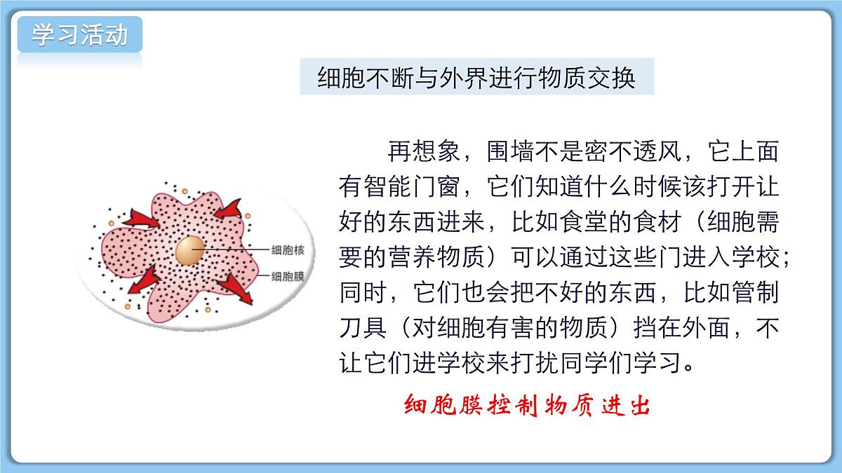 北师大版生物（2024）七年级上册 2.2.2 细胞是生命活动的单位 课件第8页