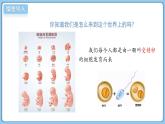 北師大版生物（2024）七年級上冊 2.3.2細(xì)胞分化形成組織  課件