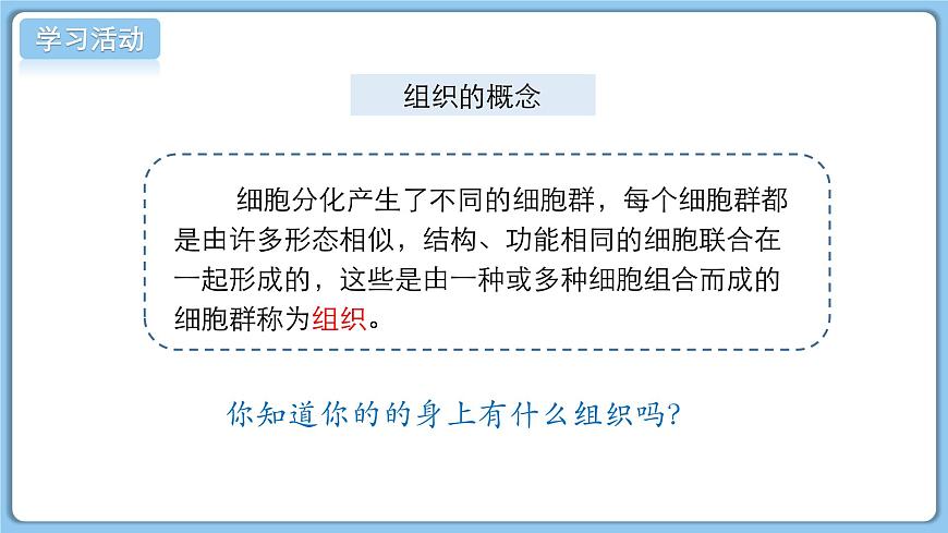 北师大版生物（2024）七年级上册 2.3.2细胞分化形成组织  课件第6页