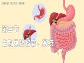北師大版生物（2024）七年級(jí)上冊(cè) 2.3.3 生物體的器官、系統(tǒng)  課件