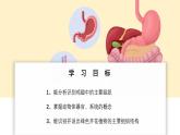 北師大版生物（2024）七年級(jí)上冊(cè) 2.3.3 生物體的器官、系統(tǒng)  課件