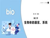 北師大版生物（2024）七年級上冊 2.3.3 生物體的器官、系統(tǒng) 課件