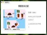 北師大版生物（2024）七年級(jí)上冊(cè) 3.4.1 光合作用  第1課時(shí) 探索光合作用 課件