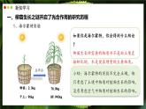 北師大版生物（2024）七年級(jí)上冊(cè) 3.4.1 光合作用  第1課時(shí) 探索光合作用 課件