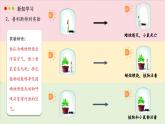 北師大版生物（2024）七年級(jí)上冊(cè) 3.4.1 光合作用  第1課時(shí) 探索光合作用 課件