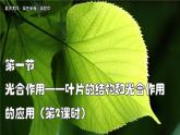 北師大版生物（2024）七年級(jí)上冊(cè) 3.4.1 光合作用  第2課時(shí) 葉的結(jié)構(gòu)和光合作用的應(yīng)用 課件