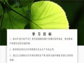 北師大版生物（2024）七年級(jí)上冊(cè) 3.4.1 光合作用  第2課時(shí) 葉的結(jié)構(gòu)和光合作用的應(yīng)用 課件