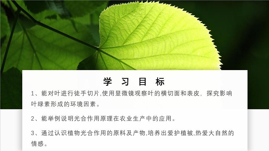 北师大版生物（2024）七年级上册 3.4.1 光合作用  第2课时 叶的结构和光合作用的应用 课件第2页
