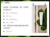 北師大版生物（2024）七年級(jí)上冊(cè) 3.4.1 光合作用  第2課時(shí) 葉的結(jié)構(gòu)和光合作用的應(yīng)用 課件
