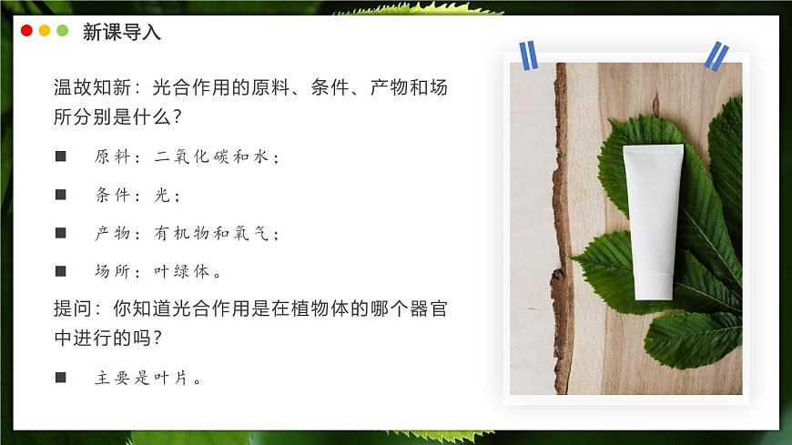 北师大版生物（2024）七年级上册 3.4.1 光合作用  第2课时 叶的结构和光合作用的应用 课件第3页