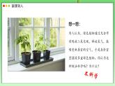 北師大版生物（2024）七年級(jí)上冊(cè) 3.4.2 呼吸作用  課件