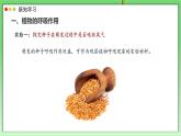 北師大版生物（2024）七年級(jí)上冊(cè) 3.4.2 呼吸作用  課件