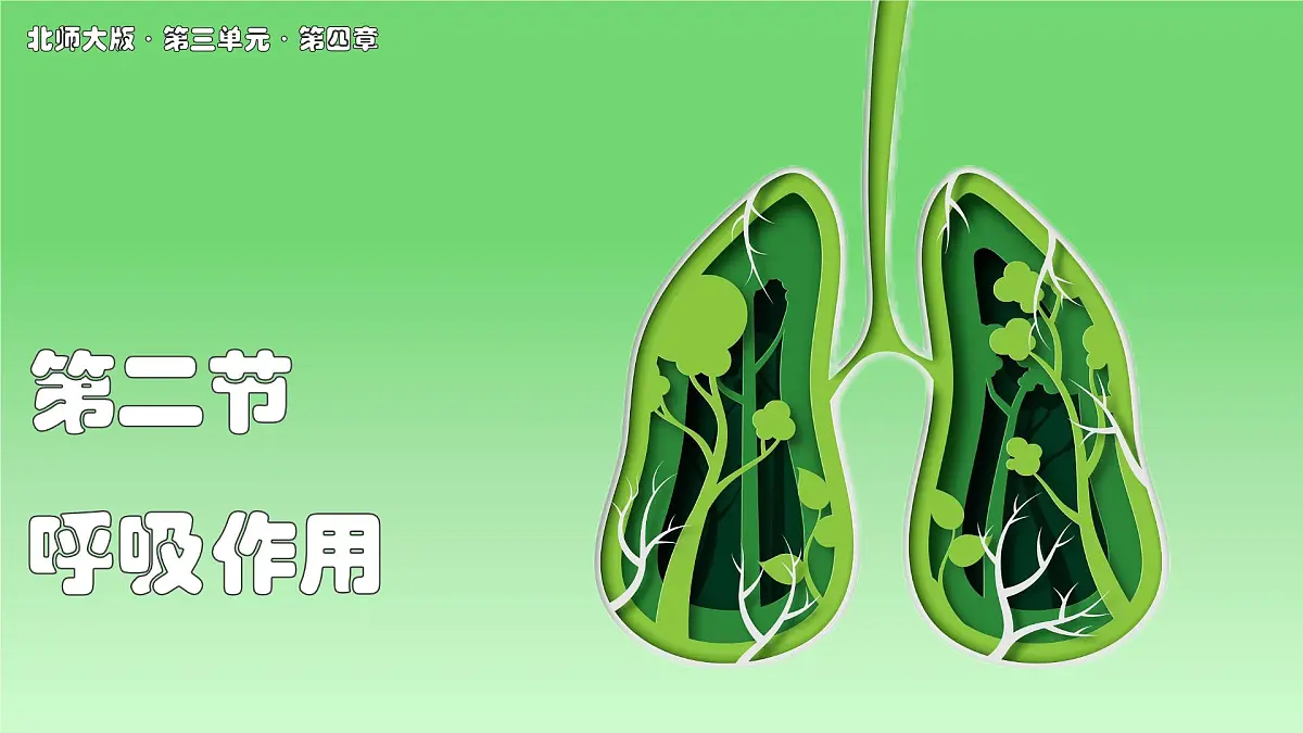 北师大版生物（2024）七年级上册 3.4.2 呼吸作用 课件第1页