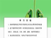 北師大版生物（2024）七年級(jí)上冊(cè) 3.4.2 呼吸作用 課件
