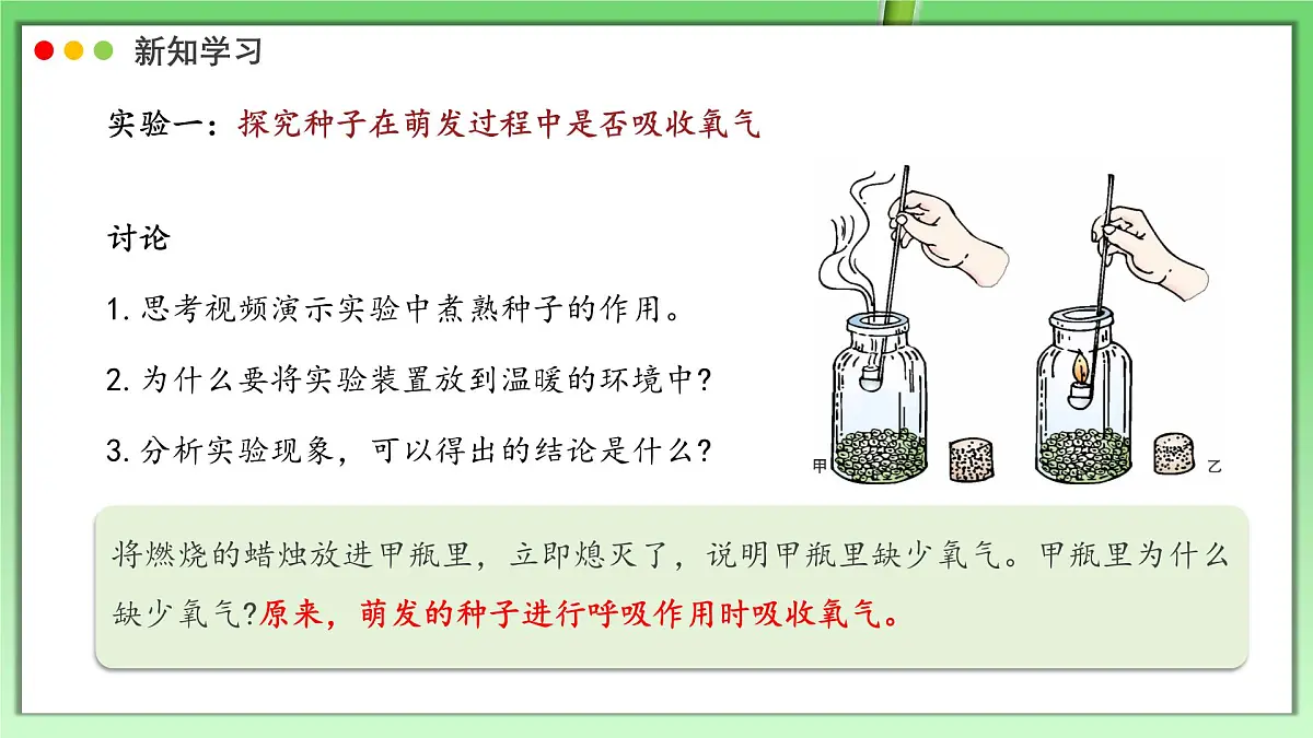 北师大版生物（2024）七年级上册 3.4.2 呼吸作用 课件第6页