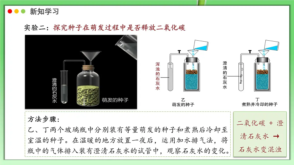 北师大版生物（2024）七年级上册 3.4.2 呼吸作用 课件第7页