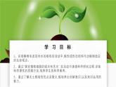 北師大版生物（2024）七年級(jí)上冊(cè) 3.4.3 吸收作用 課件