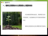 北師大版生物（2024）七年級(jí)上冊(cè) 3.4.3 吸收作用 課件