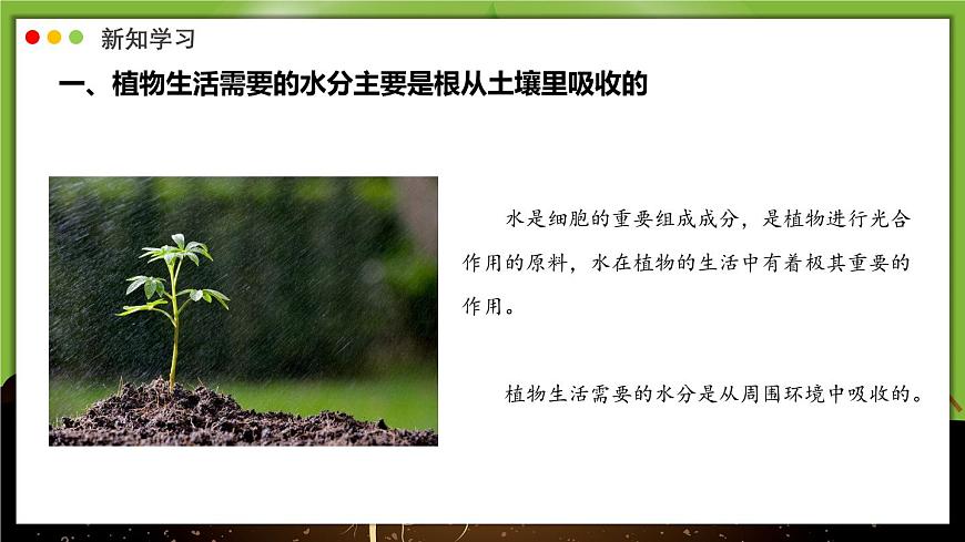 北师大版生物（2024）七年级上册 3.4.3 吸收作用 课件第4页