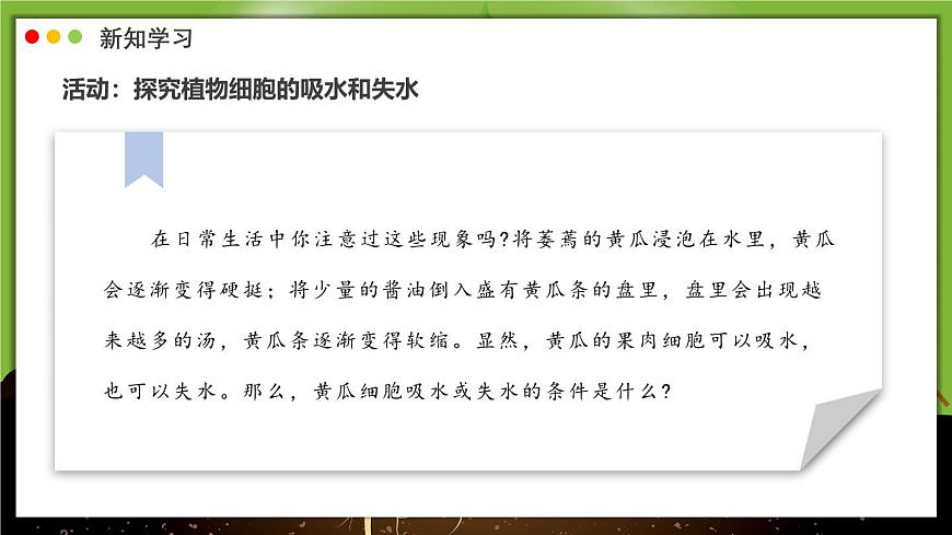 北师大版生物（2024）七年级上册 3.4.3 吸收作用 课件第5页