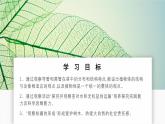 北師大版生物（2024）七年級(jí)上冊(cè) 3.4.4  運(yùn)輸作用 課件