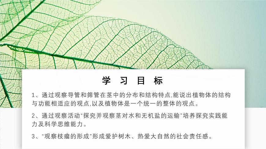 北师大版生物（2024）七年级上册 3.4.4  运输作用 课件第2页