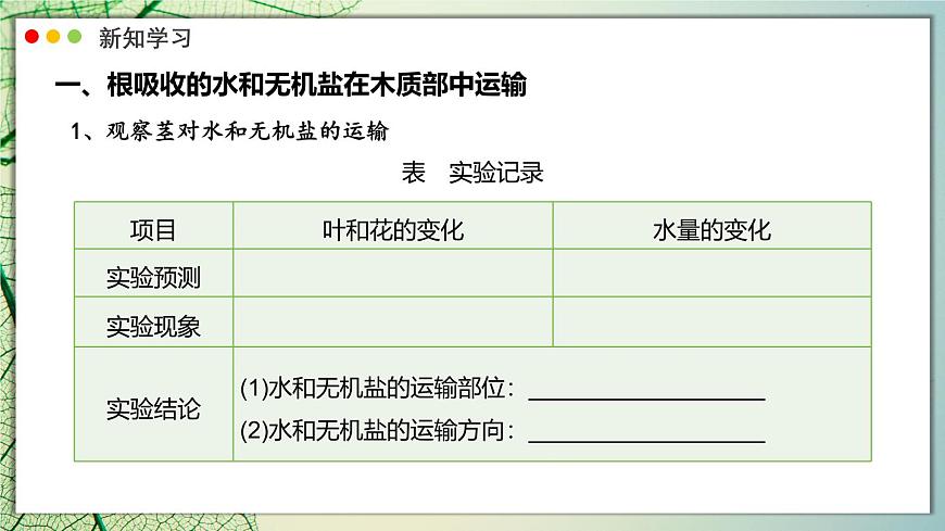 北师大版生物（2024）七年级上册 3.4.4  运输作用 课件第7页