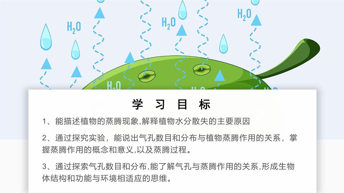 北师大版生物（2024）七年级上册 3.4.5  蒸腾作用 课件第2页