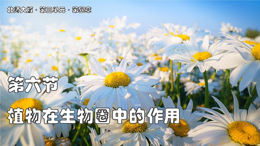 北师大版生物（2024）七年级上册 3.4.6 植物在生物圈中的作用 课件第1页
